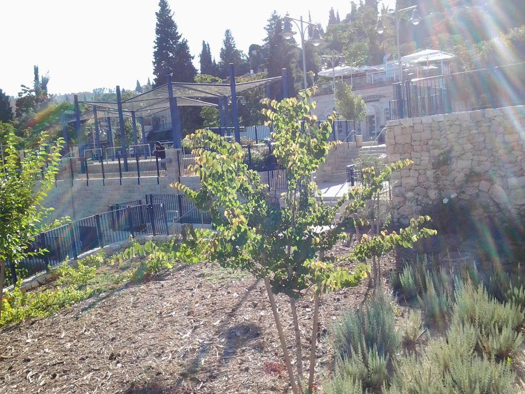 Rosary Sister Guest House Ein Karem Yerusalem Bagian luar foto