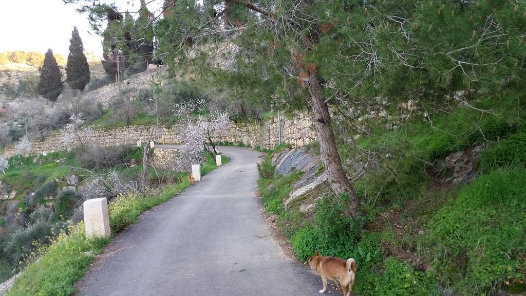 Rosary Sister Guest House Ein Karem Yerusalem Bagian luar foto